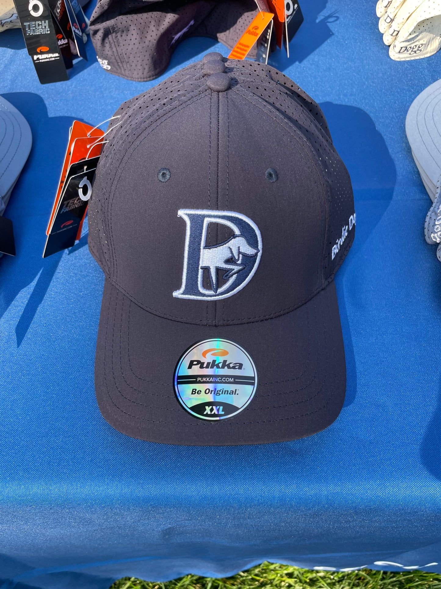 Birdie Dogg “D” Hat