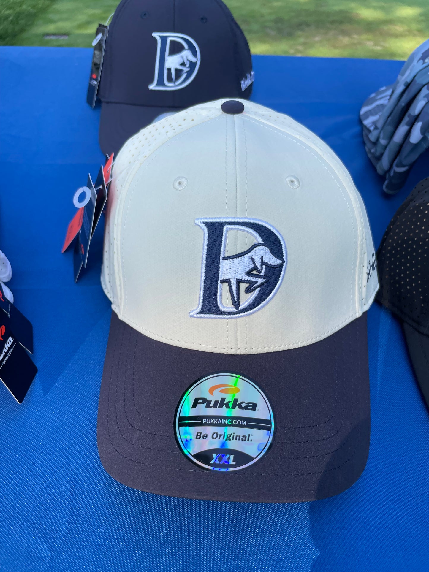 Birdie Dogg “D” Hat